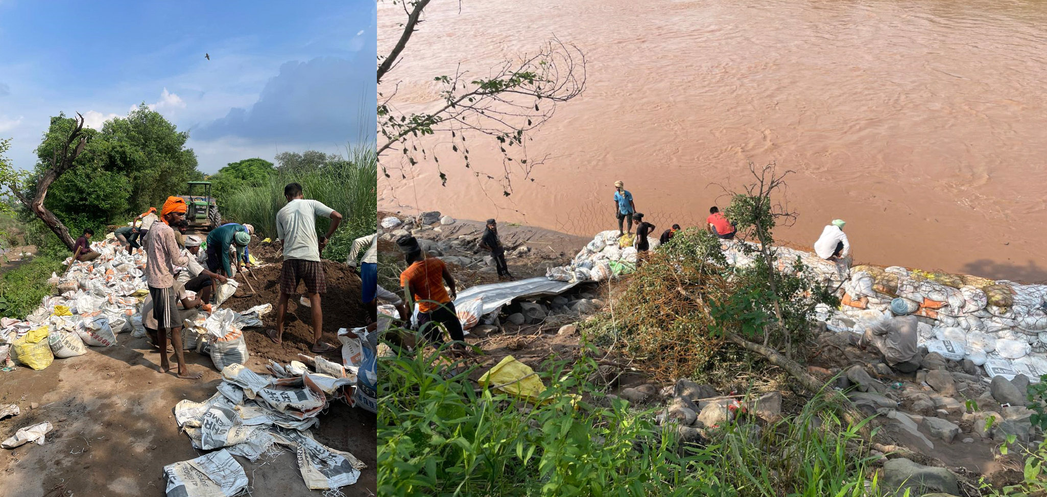Repair and Strengthening Work on Ghaggar River Embankment Near Bhankharpur Underway on War Footing
